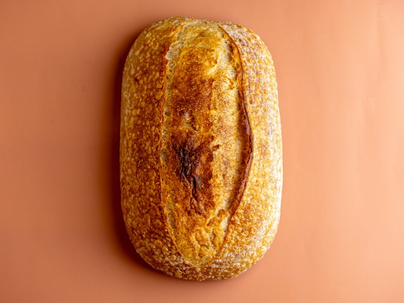 Всьому голова